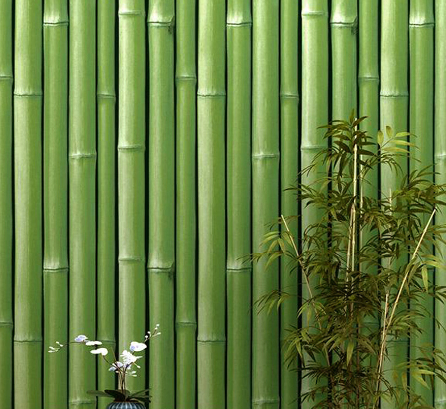 akadeco HY9169 Beauty of Bamboo Green Classics PVC Vinyl Waterproof wallpaper